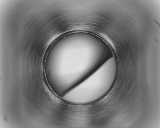 X0000096450980200801241136