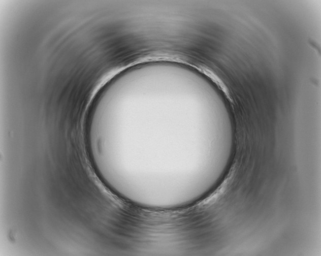 X0000096450981200801241136