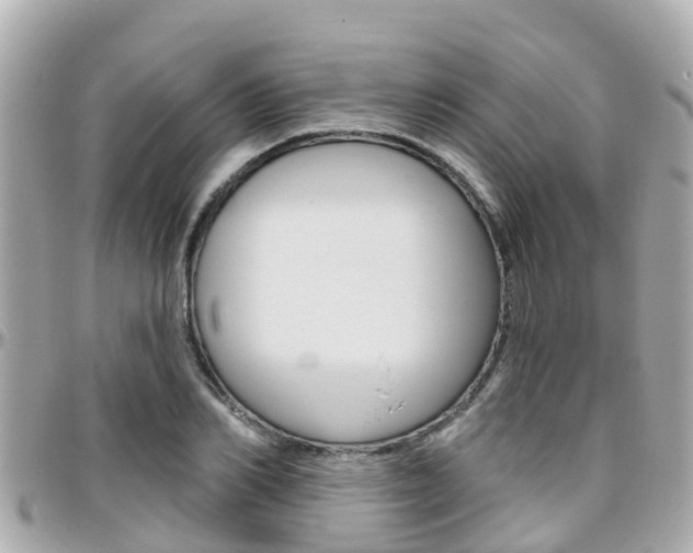 X0000096450982200801241136