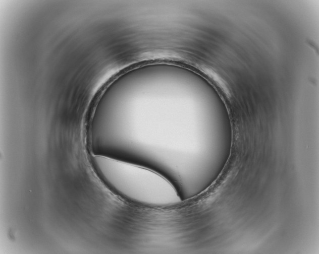 X0000096450983200801241136