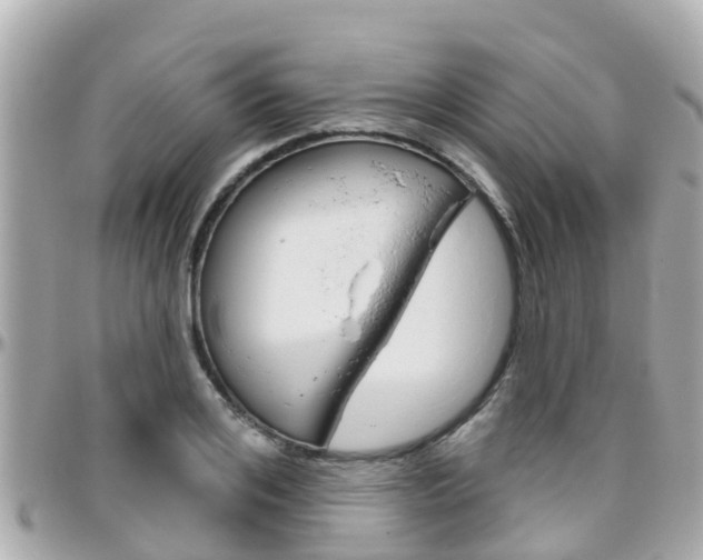 X0000096450984200801241136