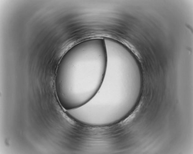 X0000096450985200801241136