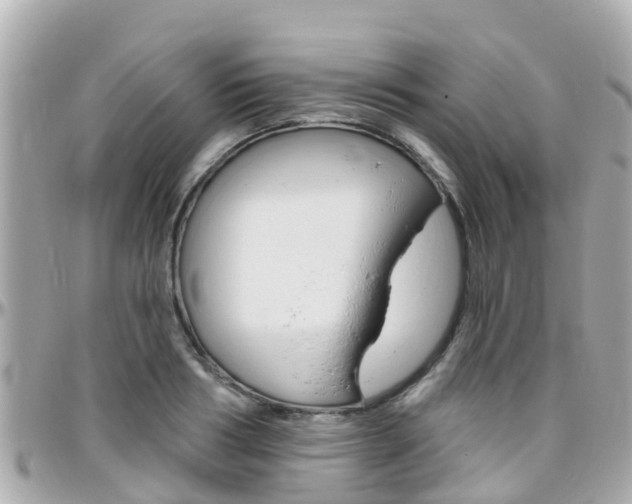 X0000096450986200801241136