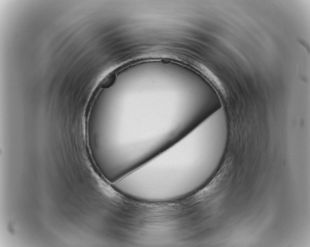 X0000096450988200801241136