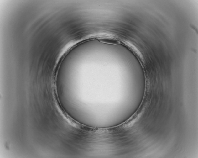 X0000096450989200801241136