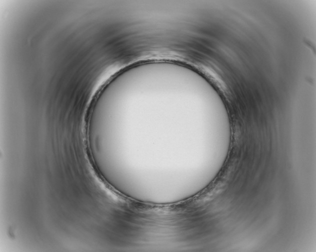X0000096450990200801241136