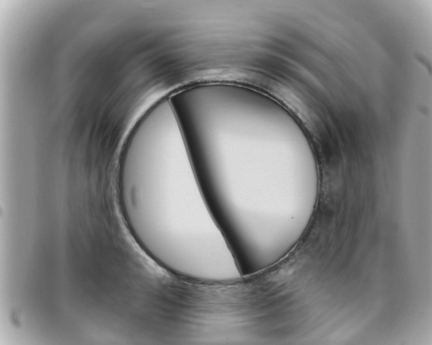 X0000096450992200801241136