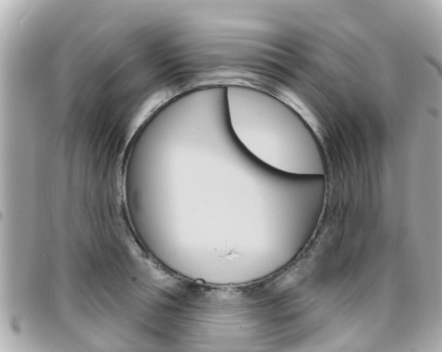 X0000096450994200801241136