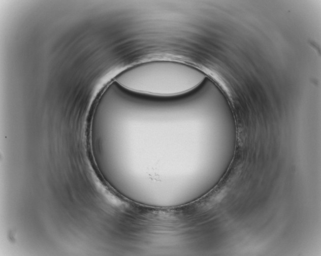 X0000096450995200801241136