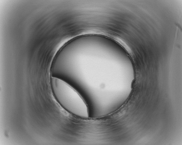 X0000096450996200801241136