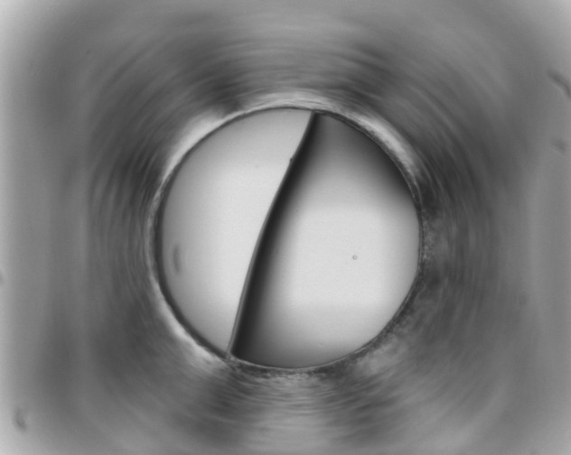 X0000096450999200801241136