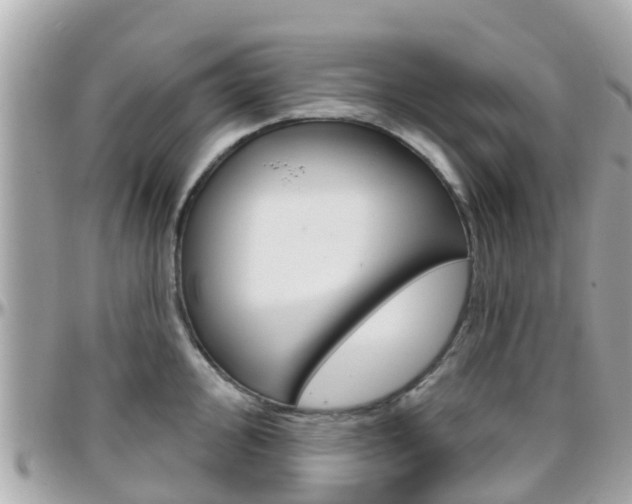 X0000096451000200801241136