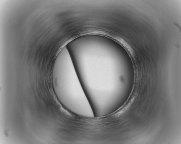 X0000096451001200801241136