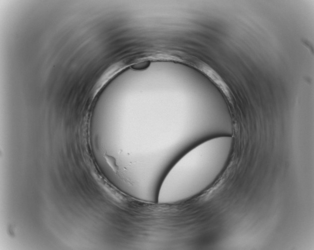 X0000096451002200801241136