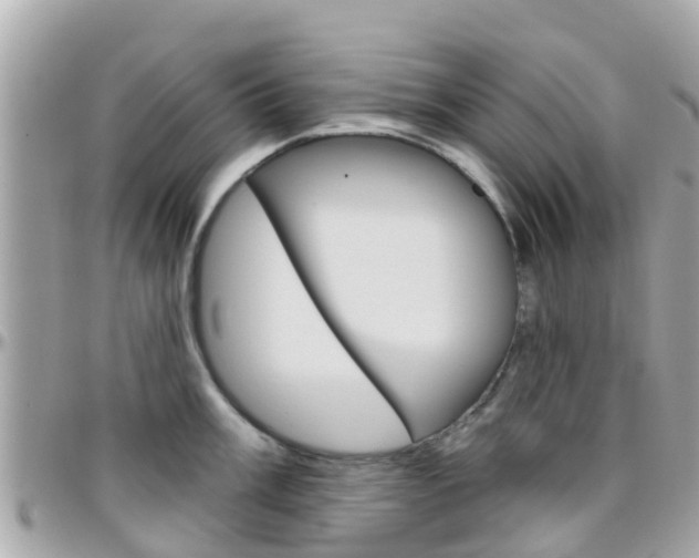 X0000096451003200801241136