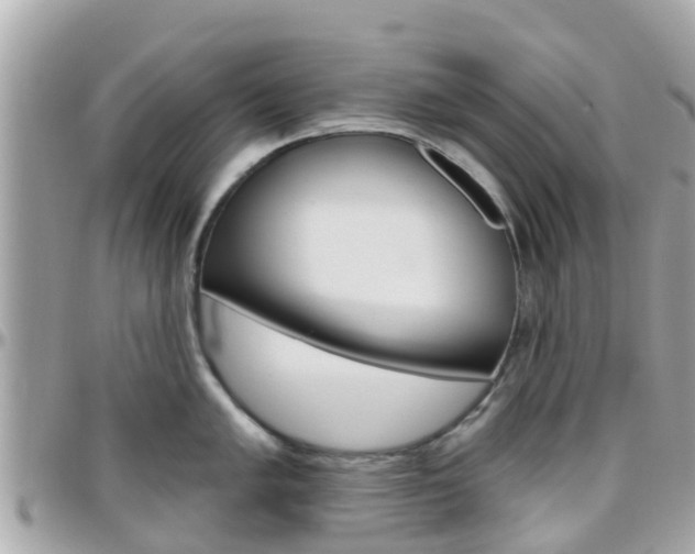 X0000096451005200801241136