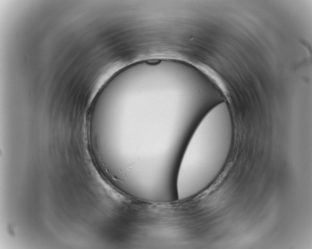 X0000096451006200801241136
