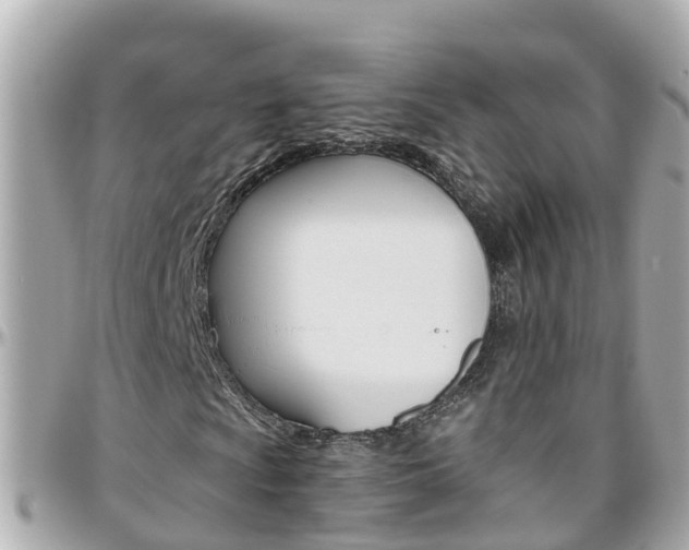 X0000096451009200801241135