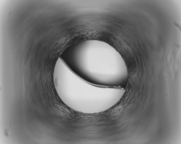 X0000096451010200801241135