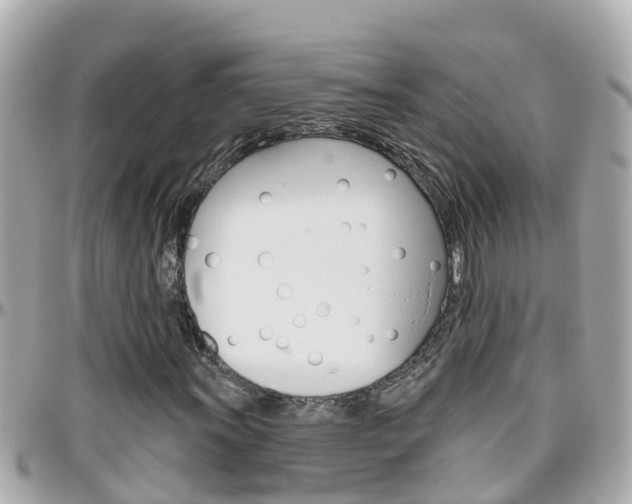 X0000096451011200801241135