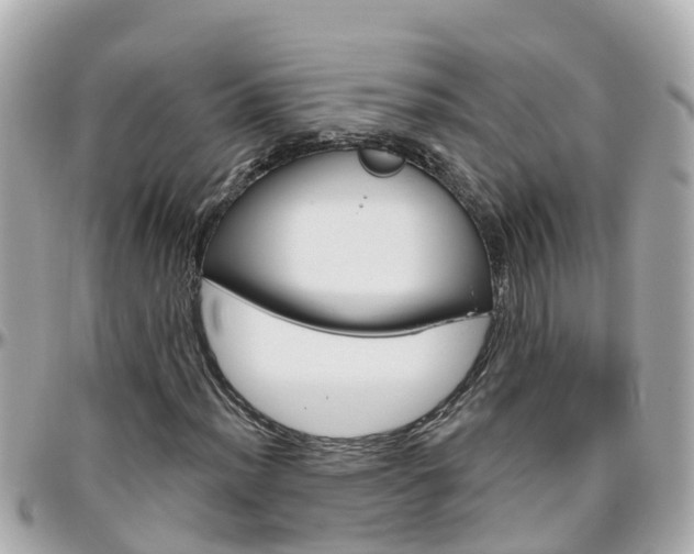 X0000096451012200801241135
