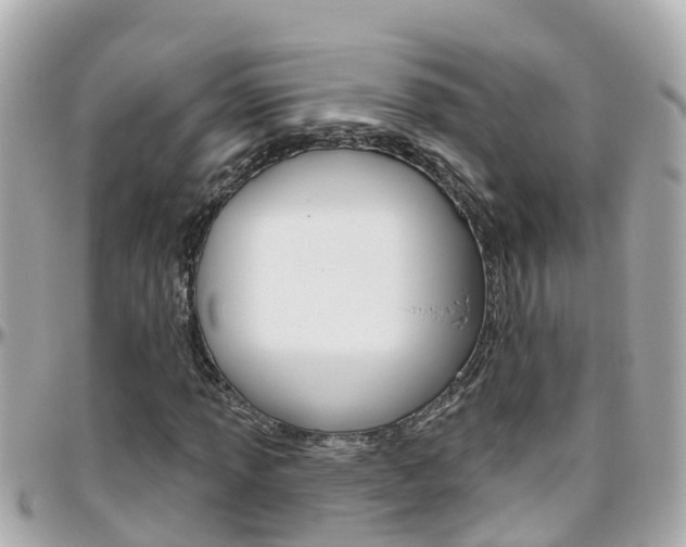 X0000096451013200801241135