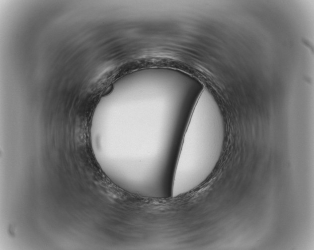 X0000096451014200801241135