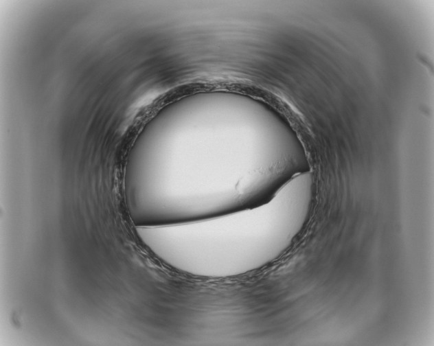 X0000096451016200801241135