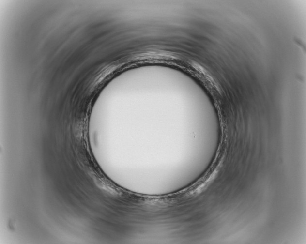 X0000096451017200801241135