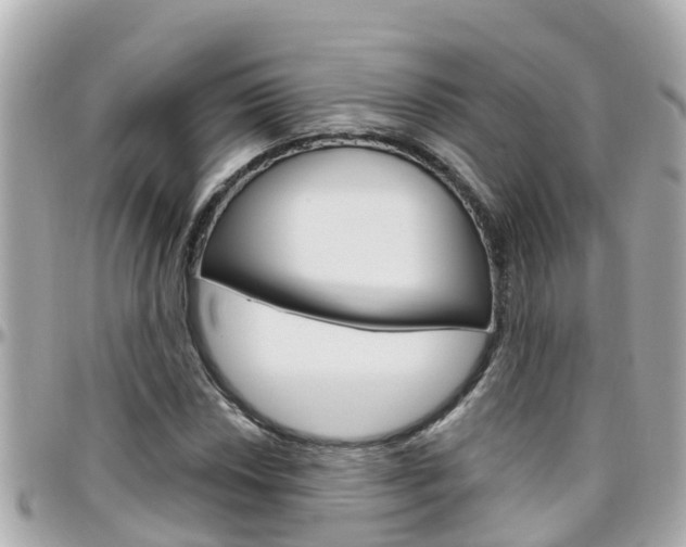 X0000096451018200801241135