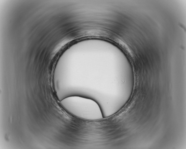 X0000096451019200801241135
