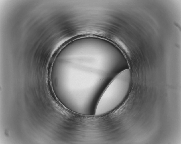 X0000096451020200801241135