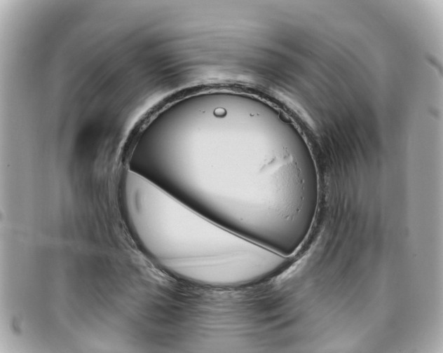 X0000096451021200801241135