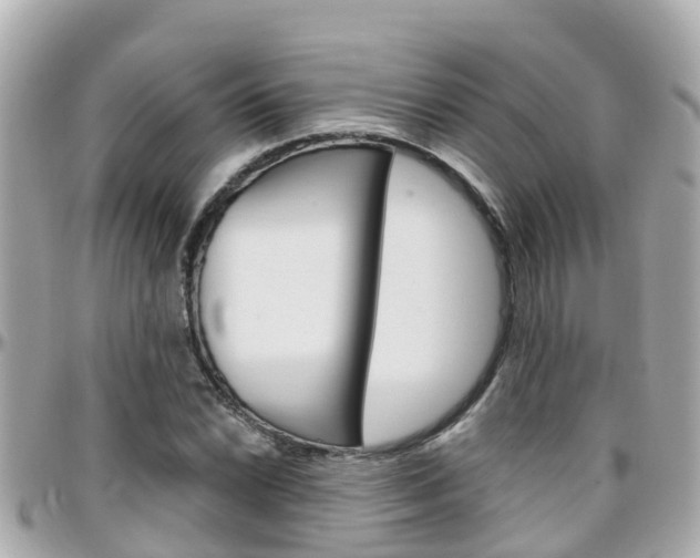X0000096451022200801241135