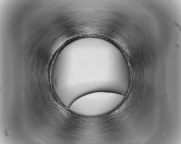 X0000096451023200801241135