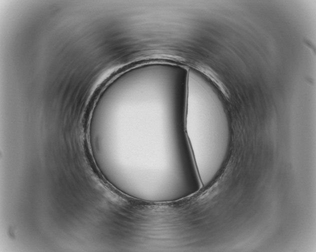 X0000096451024200801241135