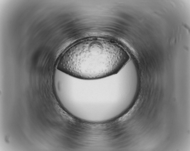X0000096451025200801241135