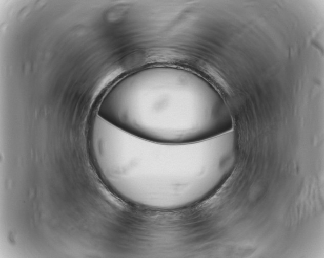 X0000096451026200801241135