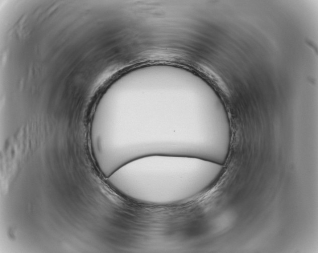 X0000096451027200801241135