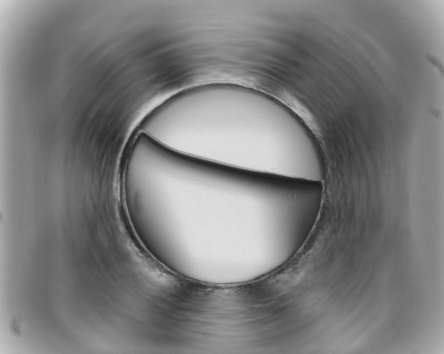 X0000096451028200801241135