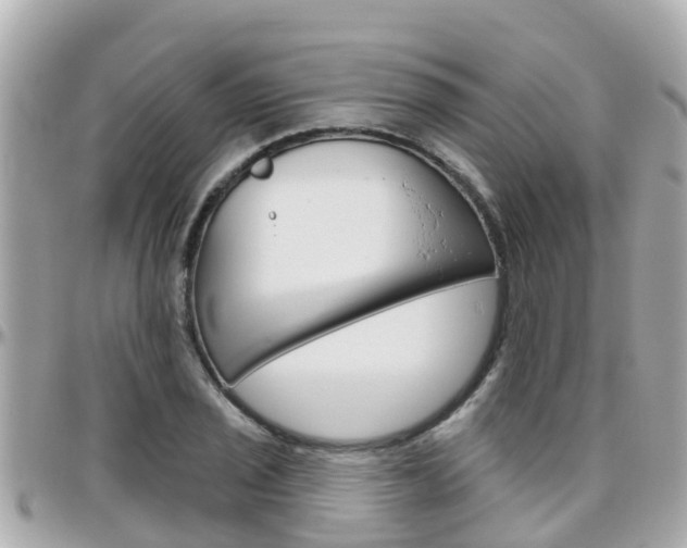 X0000096451029200801241135
