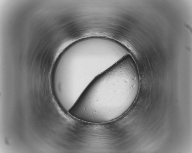 X0000096451030200801241135
