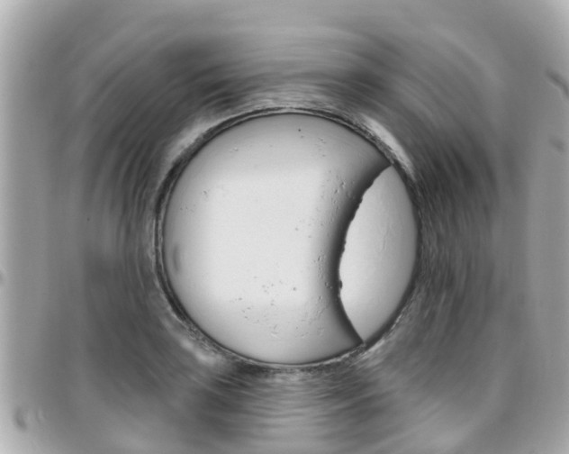 X0000096451035200801241136