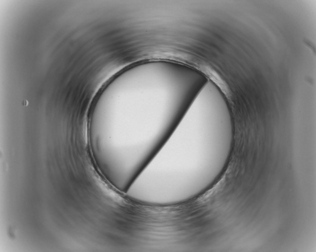 X0000096451036200801241136