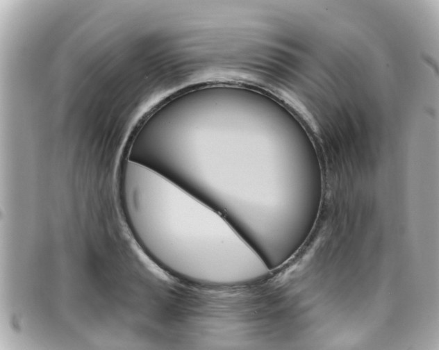 X0000096451037200801241136