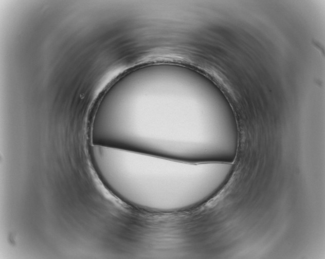 X0000096451038200801241136