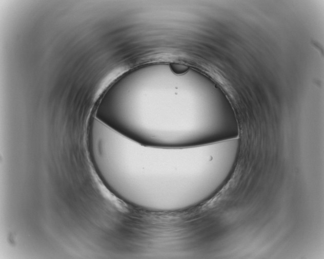 X0000096451042200801241136