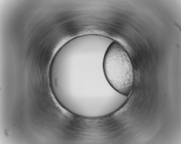 X0000096451046200801241136