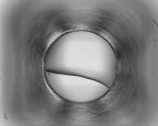 X0000096451047200801241136
