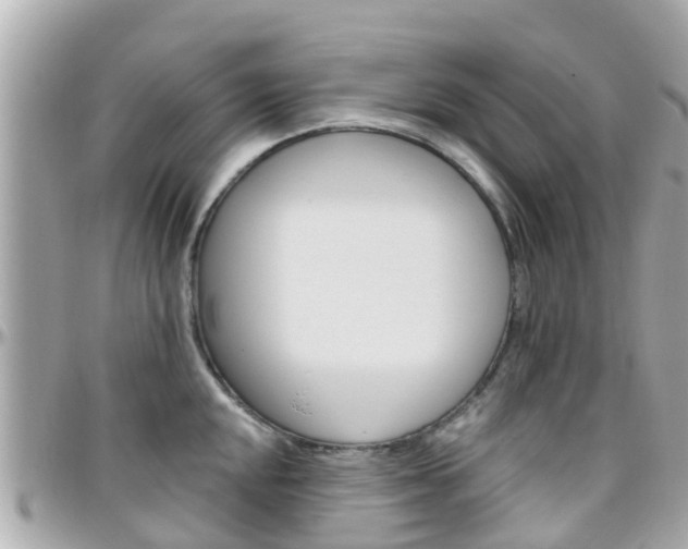 X0000096451048200801241136